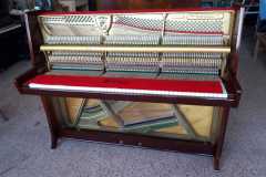 IMG-20250916-WA0009