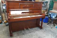 IMG-20250916-WA0014