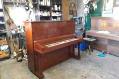 IMG-20250916-WA0019