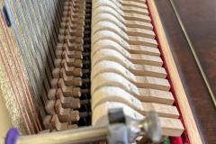 IMG-20250916-WA0027