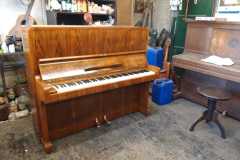 IMG-20250916-WA0029
