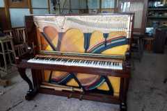 IMG-20250916-WA0033