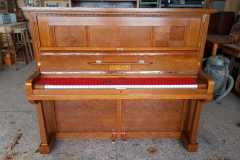 IMG-20250916-WA0040