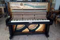 IMG-20250916-WA0041