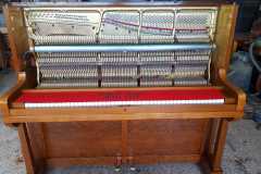 IMG-20250916-WA0043