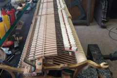 IMG-20250916-WA0054