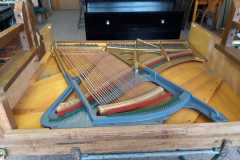 IMG-20250916-WA0057