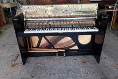 IMG-20250916-WA0059