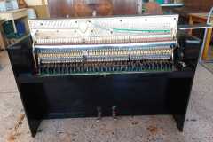 IMG-20250916-WA0062